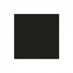 Берёзовая фанера 9,4 мм с пластиковым покрытием и стабилизирующей фольгой чёрного цвета 0497g